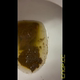 Emi rubs herself over the toilet as she lets out diarrhea farts, shows off the messy bowl, then talks to the camera. Vertical format video. Over 4 minutes.